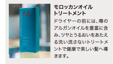 モロッカンオイルトリートメント ドライヤーの前には、噂のアルガンオイルを豊富に含み、ツヤとうるおいをあたえる洗い流さないトリートメントで健康で美しい髪へ導きます。